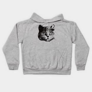 British Longhair gift for British Longhair Cat Owners Kids Hoodie